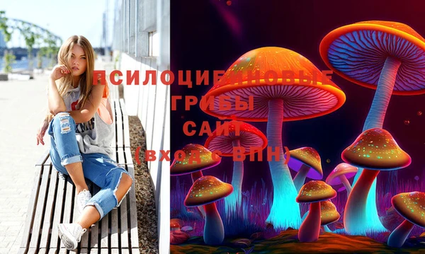 СК Богданович