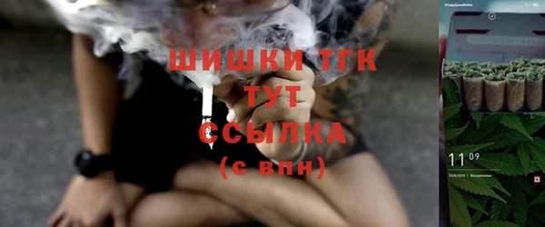 Альфа ПВП Богородицк