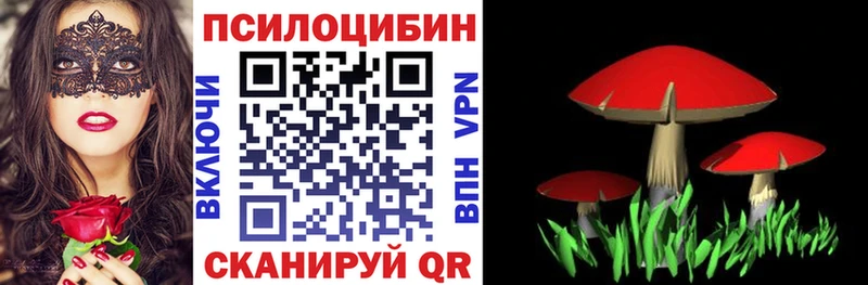 кракен ССЫЛКА  Верхняя Салда  Галлюциногенные грибы Magic Shrooms  как найти наркотики 